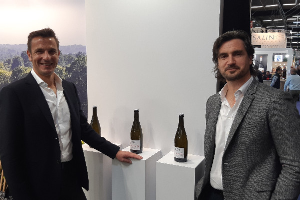 Tout sur la sauvegarde du domaine Tariquet (33 millions € de dettes, 110 ha arrachés…), et la suite (vins à faible degré, effervescents…)