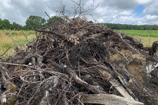 +7 semaines pour l’arrachage des vignes à 4 000 €/ha