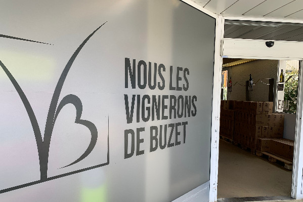 Le plan de relance de la cave de Buzet jugé ce 10 juin avec effacement de créances (-40 %) et alliance avec Grands Chais de France (GCF)