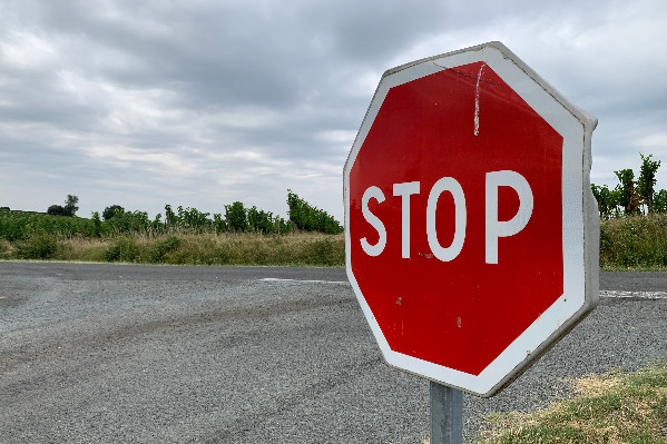 Appel aux bénévoles pour aider les vignerons à s’en sortir en vie