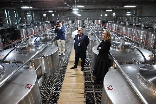 En Roumanie, la grande diversité des vins de Dobrogea est née d’une déconfiture