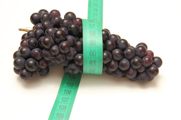 Bruxelles révise la référence olympique de l’assurance récolte pour le vignoble. Une fausse bonne idée ?