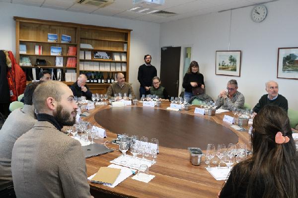 A la quête de l’umami, la cinquième saveur dont le rôle est encore méconnu dans les vins