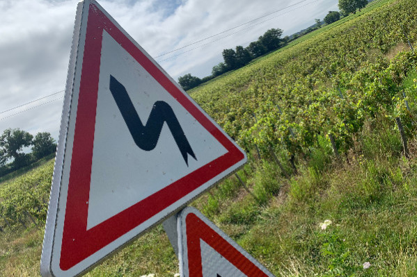 La filière vin OK pour simplifier mais pas supprimer ses agences : INAO, FranceAgriMer…