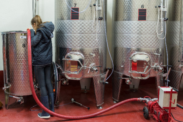 Un prix recommandé sur le vin en vrac pour les AOP et IGP : 'le partage de la valeur commence ici'