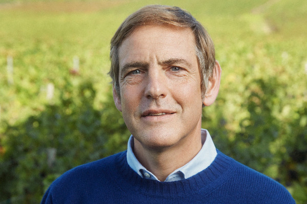 Le vin a de l’avenir : les raisons de continuer à y croire (et agir)