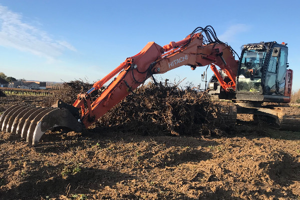 Qui veut arracher des vignes à Bordeaux ? Un sondage ouvert jusqu’au 30 juin