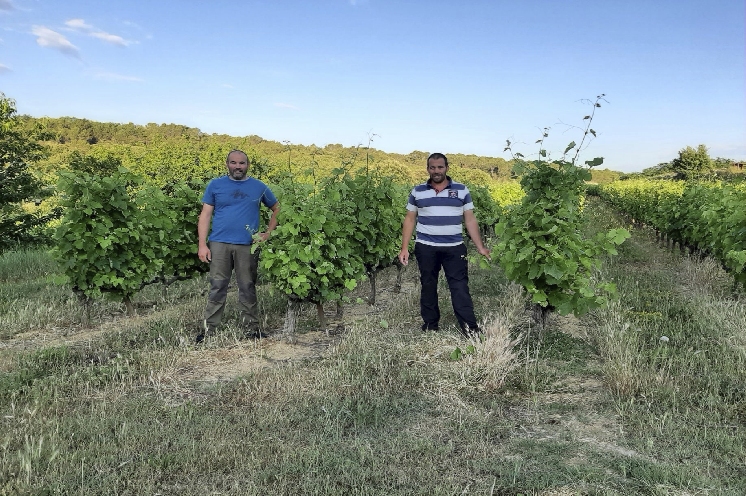  Ces viticulteurs ne se laissent plus surprendre par le black-rot