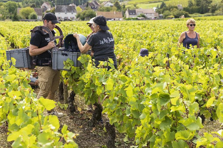  Plus de confort de travail et moins de triturations avec le porte-caisse Sherpa
