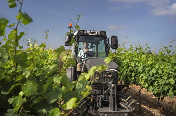 5 équipements où investir pour l'avenir de sa production vitivinicole