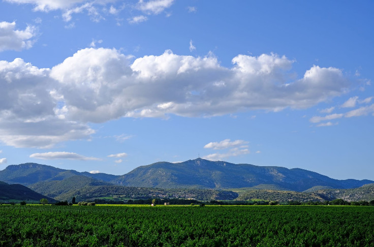 L’œnotourisme 2.0 arrive en Terrasses du Larzac