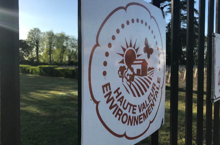 +24 % de vignobles certifiés Haute Valeur Environnementale (HVE)   