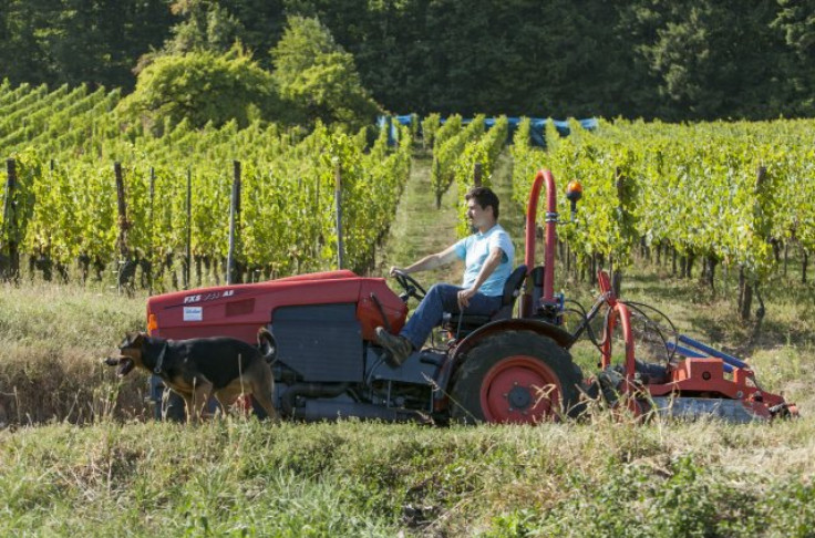 Comment protéger de la canicule les travailleurs de la vigne
