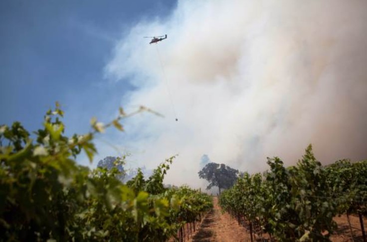La recette œnologique pour débarrasser les vins du goût de fumée