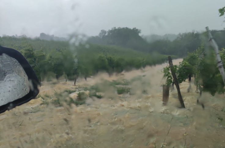 Pluie et grêle dévastent des vignes de Cahors