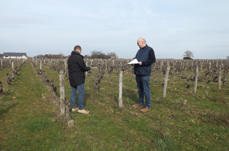 Des vignerons tentent la géobiologie face aux impasses inexpliquées
