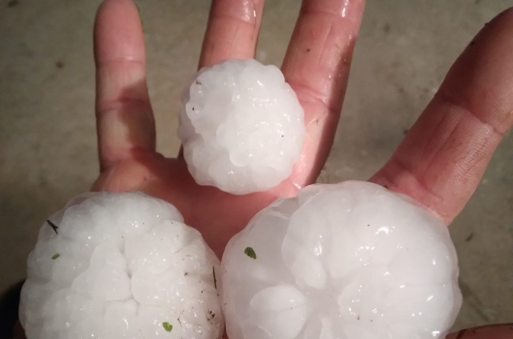 Plus de pluie que de grêle pour les vignes d’Alsace
