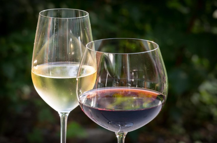 Pour bioacidifier les vins, une nouvelle levure sur le marché