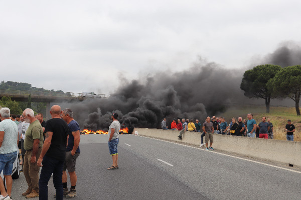 Le coup de chaud des vignerons gèle une dizaine de procédures d'atteinte à la biodiversité