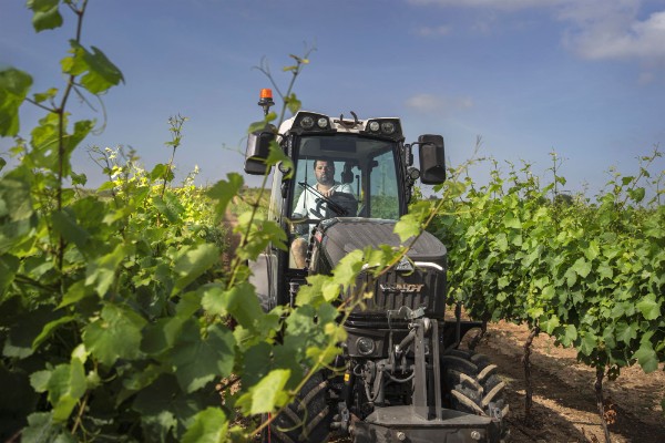 5 équipements où investir pour l'avenir de sa production vitivinicole