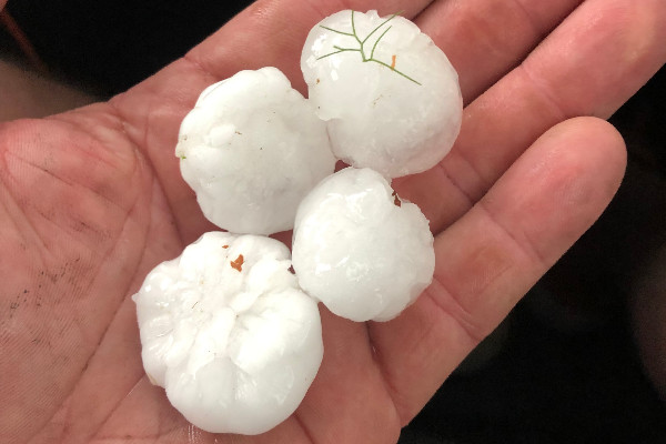 30 centimètres de grêle ravagent le vignoble de Savoie