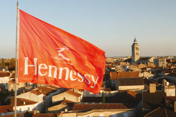 Les offres Hennessy laissent mi-figue mi-raisin le vignoble charentais