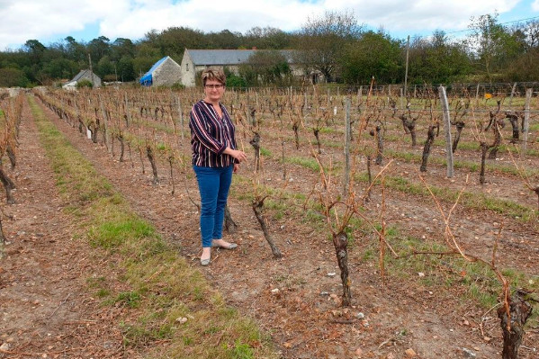  Les vignerons durement touchés par la grêle restent combatifs, malgré la catastrophe 