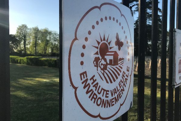 +24 % de vignobles certifiés Haute Valeur Environnementale (HVE)   