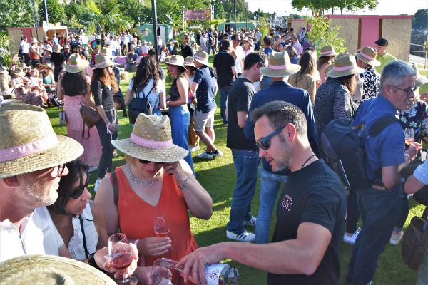 Les vins rosés d’Anjou demandent aux Angevins d'être leurs ambassadeurs