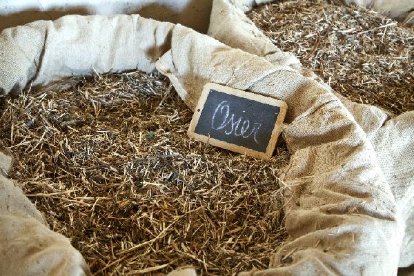 De plus en plus de viticulteurs croient en la phytothérapie 