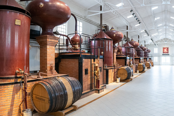 Les cognacs Hennessy décarbonent progressivement leur distillation