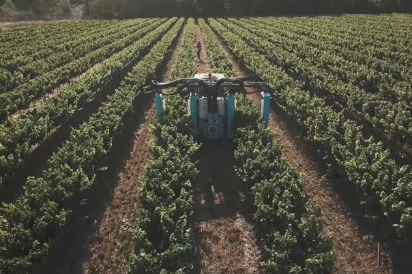 Quel pulvérisateur pour un vignoble dédié au vin de France 