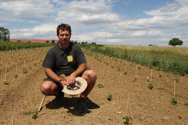 Ce vigneron tente la Syrah à Meursault
