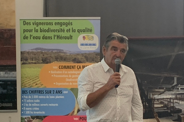 Des vignerons en IGP étranglés par les mesures et certifications agro-environnementales