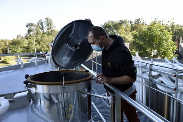 Toutes les levures et bactéries oenologiques du marché à disposition dans cet index