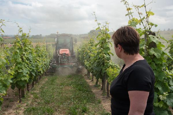  Ces vignerons et vigneronnes se lancent dans le bio cette année