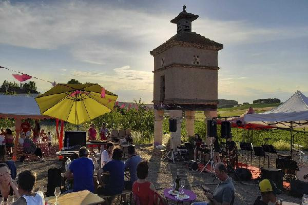  Les Z'elles Gaillacoises volent au secours des pigeonniers