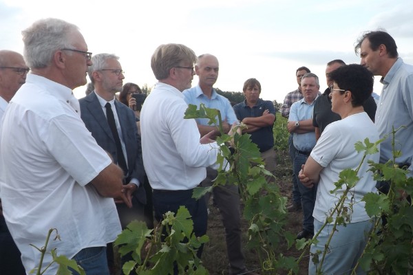 La grêle va 'remettre la pression' sur la réforme de l’assurance