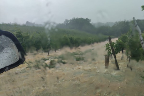 Pluie et grêle dévastent des vignes de Cahors