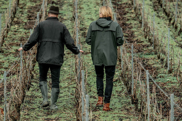 Les champagnes Telmont atteignent 60 % de leurs objectifs de verdissement