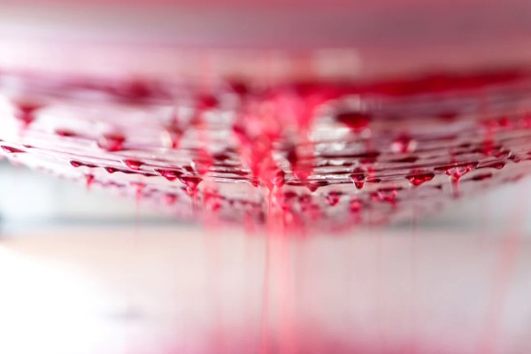 Pressoir pneumatique ou hydraulique pour les vins rouges de presse ?