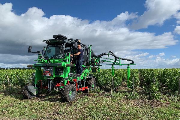  Du calcium en renfort contre le botrytis de la vigne