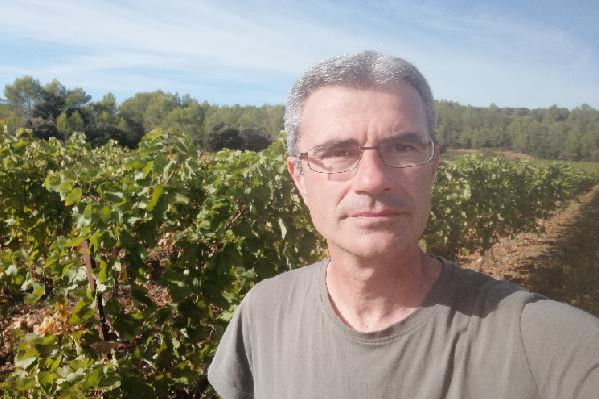  Apex Vigne, une appli pratique pour raisonner l'irrigation