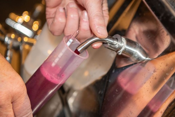 Quatre possibilités pour produire des vins rouges fruités grâce aux levures