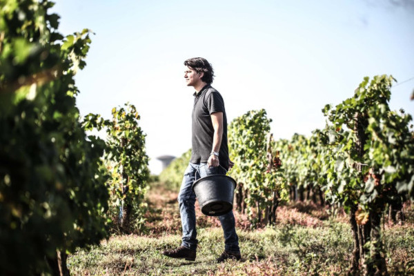 'Pourquoi la filière viticole n’est-elle pas plus impliquée dans le club de foot des Girondins ?'   