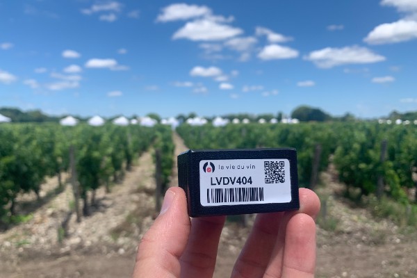 Les nouvelles technos font le show dans les vignes 