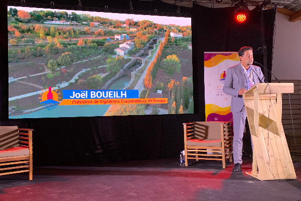 Réfléchir avant d'agir pour soutenir efficacement les vignobles grêlés en 2022   