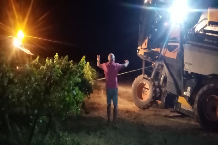  Deux accidents tous les trois jours en tracteur viticole