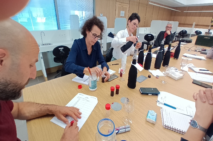  Goûts de souris dans les vins : 
