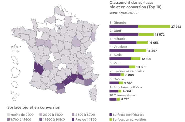 -48 %, la conversion bio du vignoble dégringole